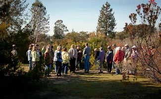 group touring the South African Garden