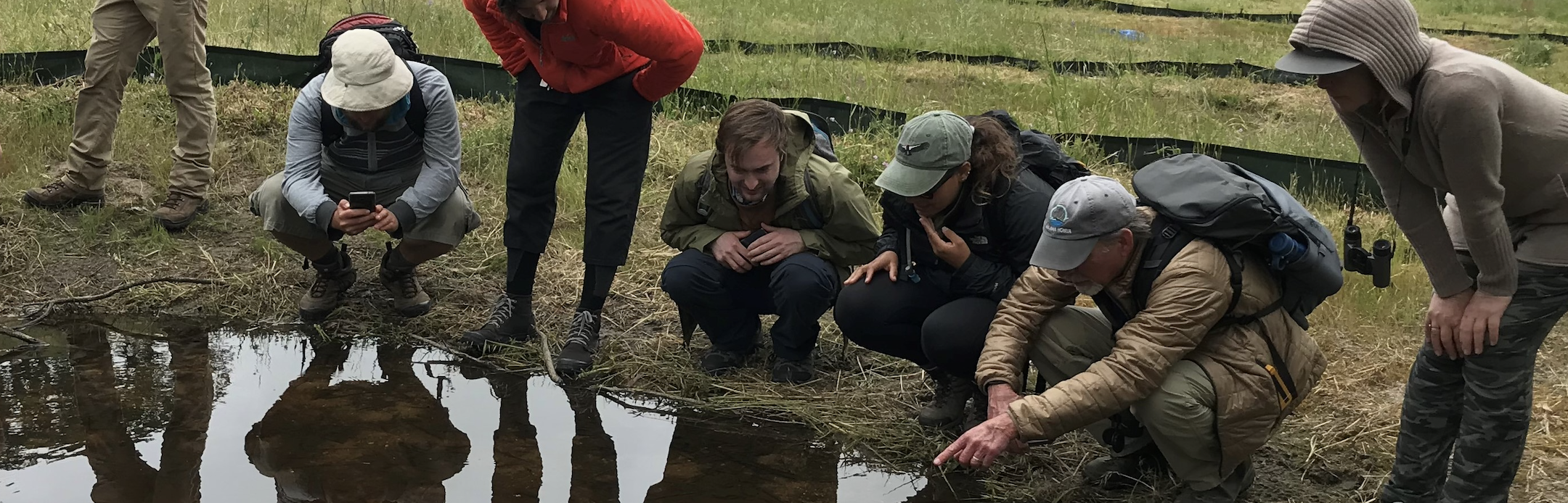 students study the edge of a pond