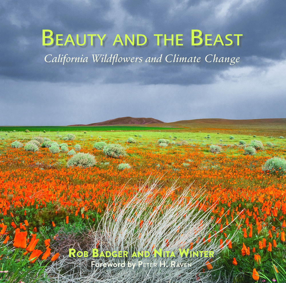 beauty-and-the-beast-california-wildflowers-and-climate-change-book-cover-x1000.jpg