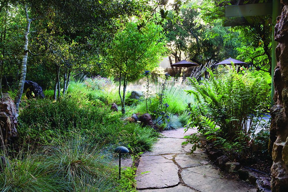 ca_native_plant_garden-small.jpg