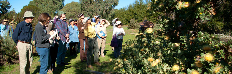 Banksia garden tour