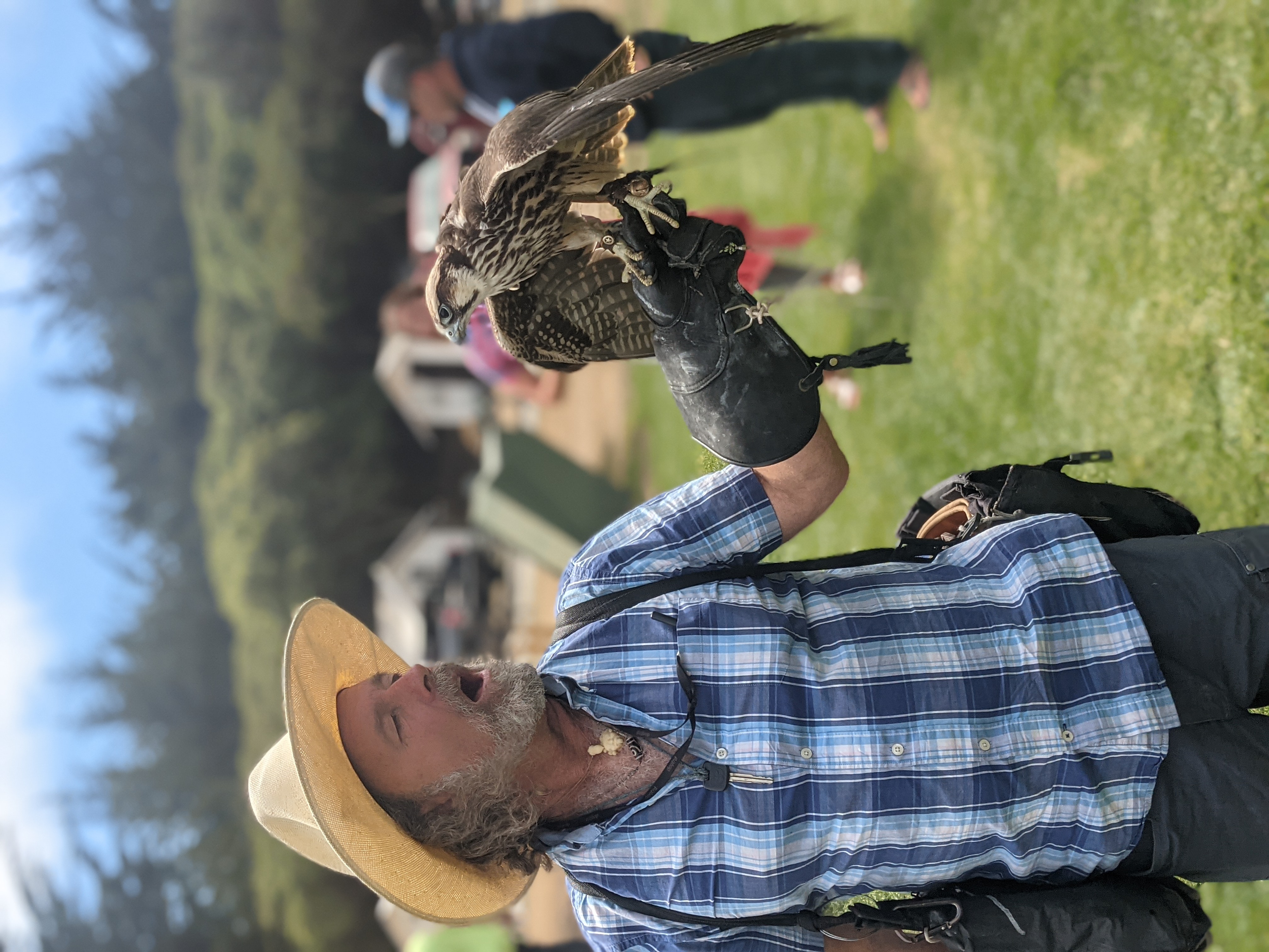 Varsity Tutors' StarCourse - Discovering Raptors with the WORLD CENTER FOR  BIRDS OF PREY 