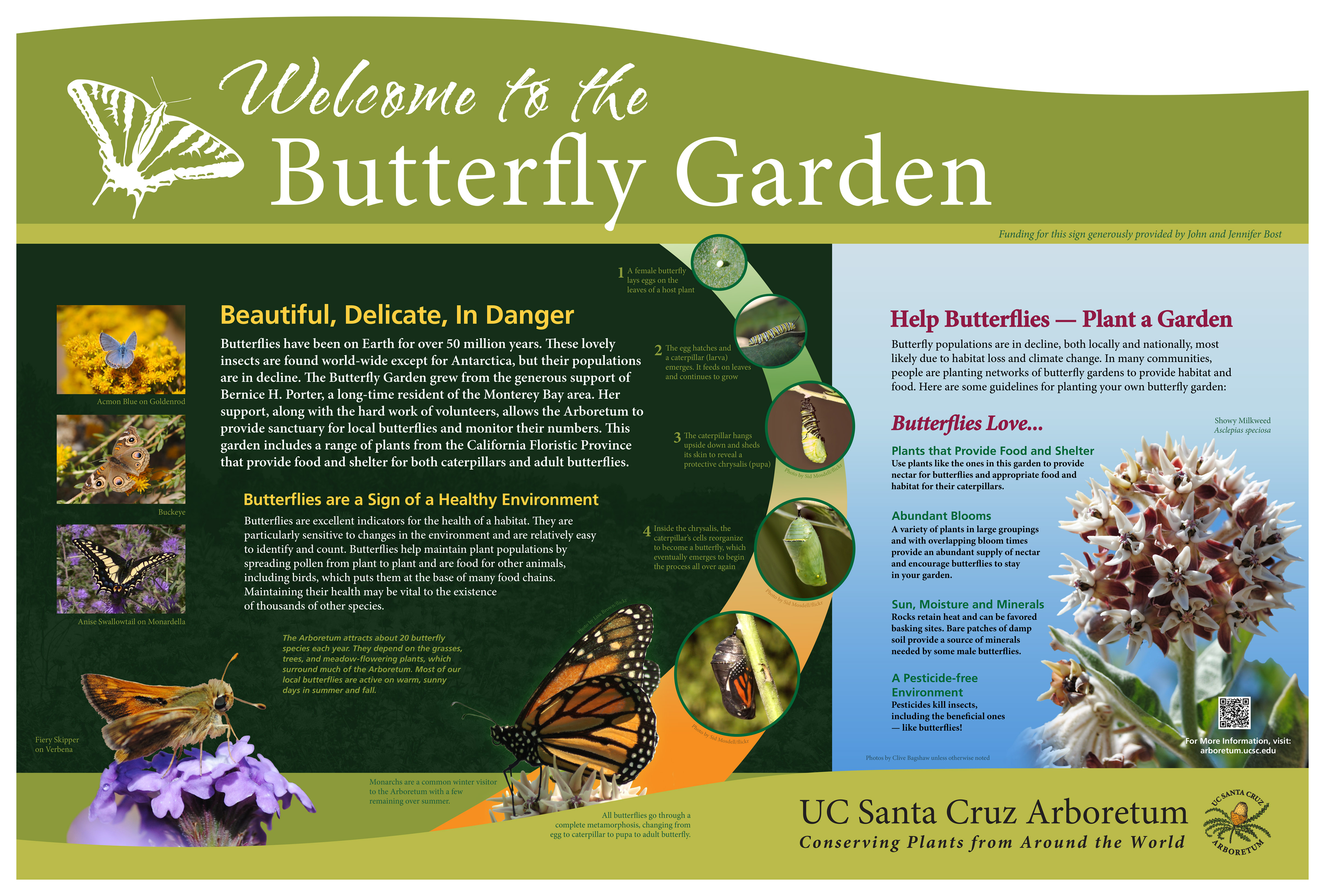 11-ucsc-arboretum_butterfly-garden-sign.jpg