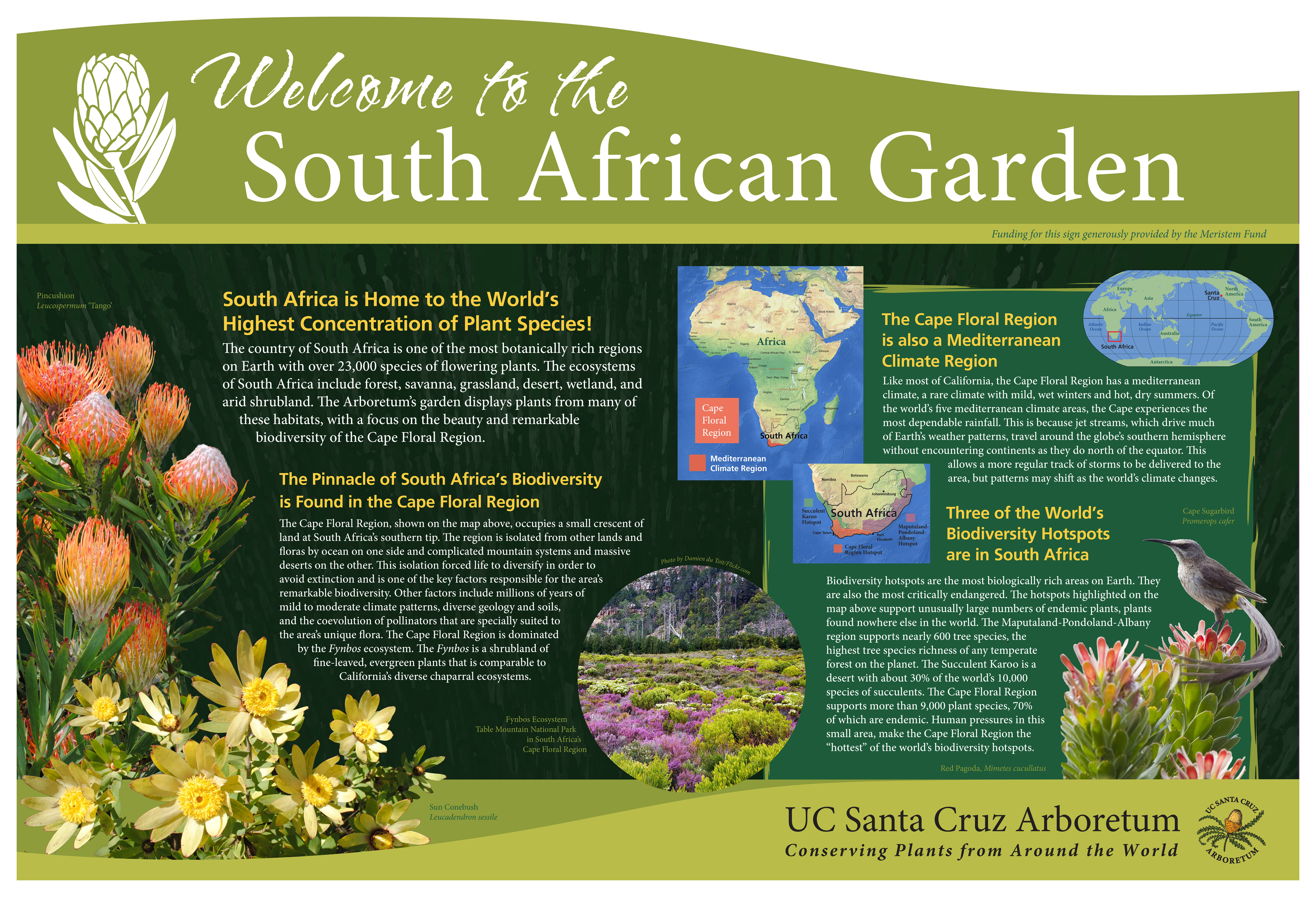 3-ucsc-arboretum_south-africa-sign.jpg