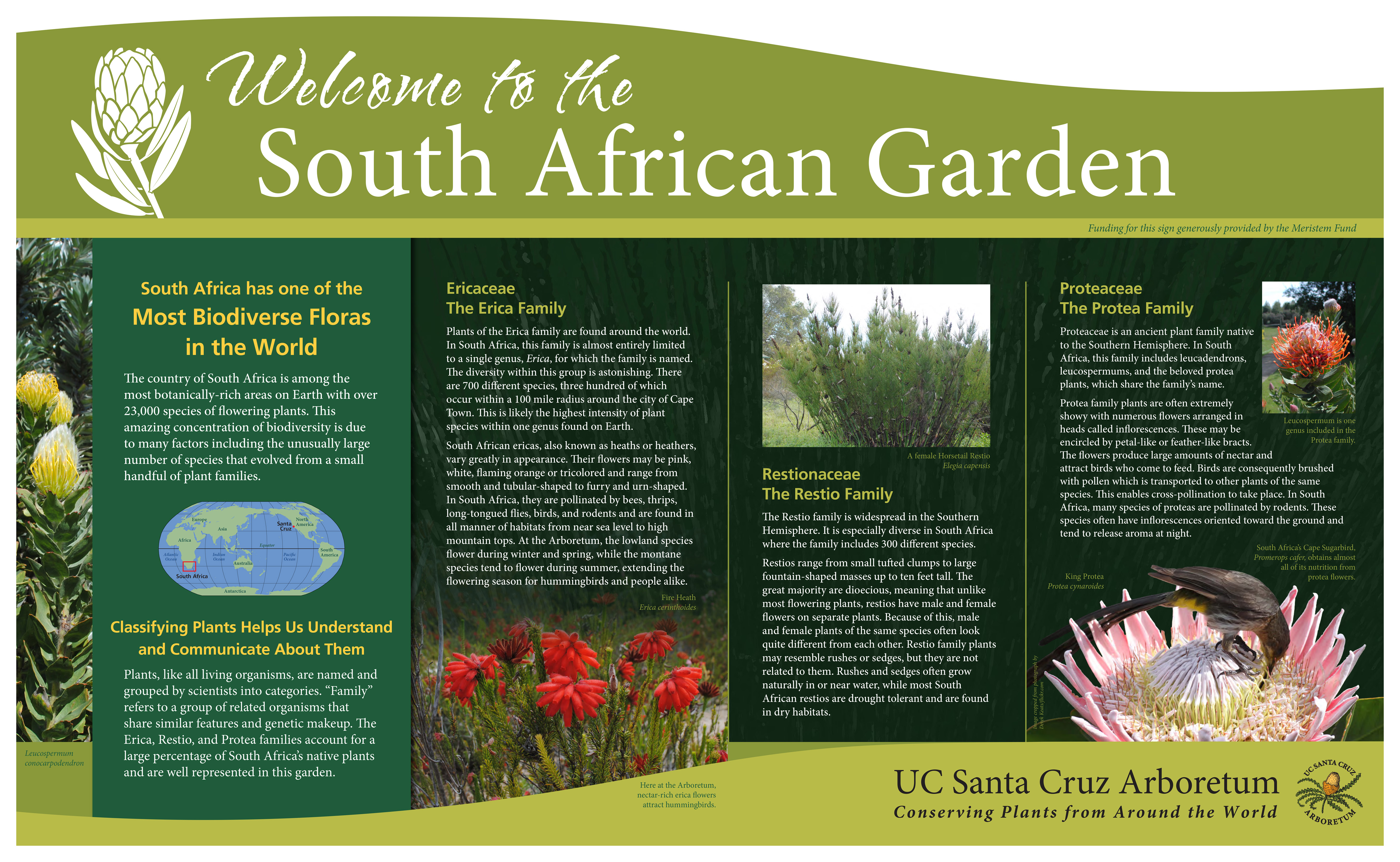 5-ucsc-arboretum_south-africa-sign_second-on-path.jpg