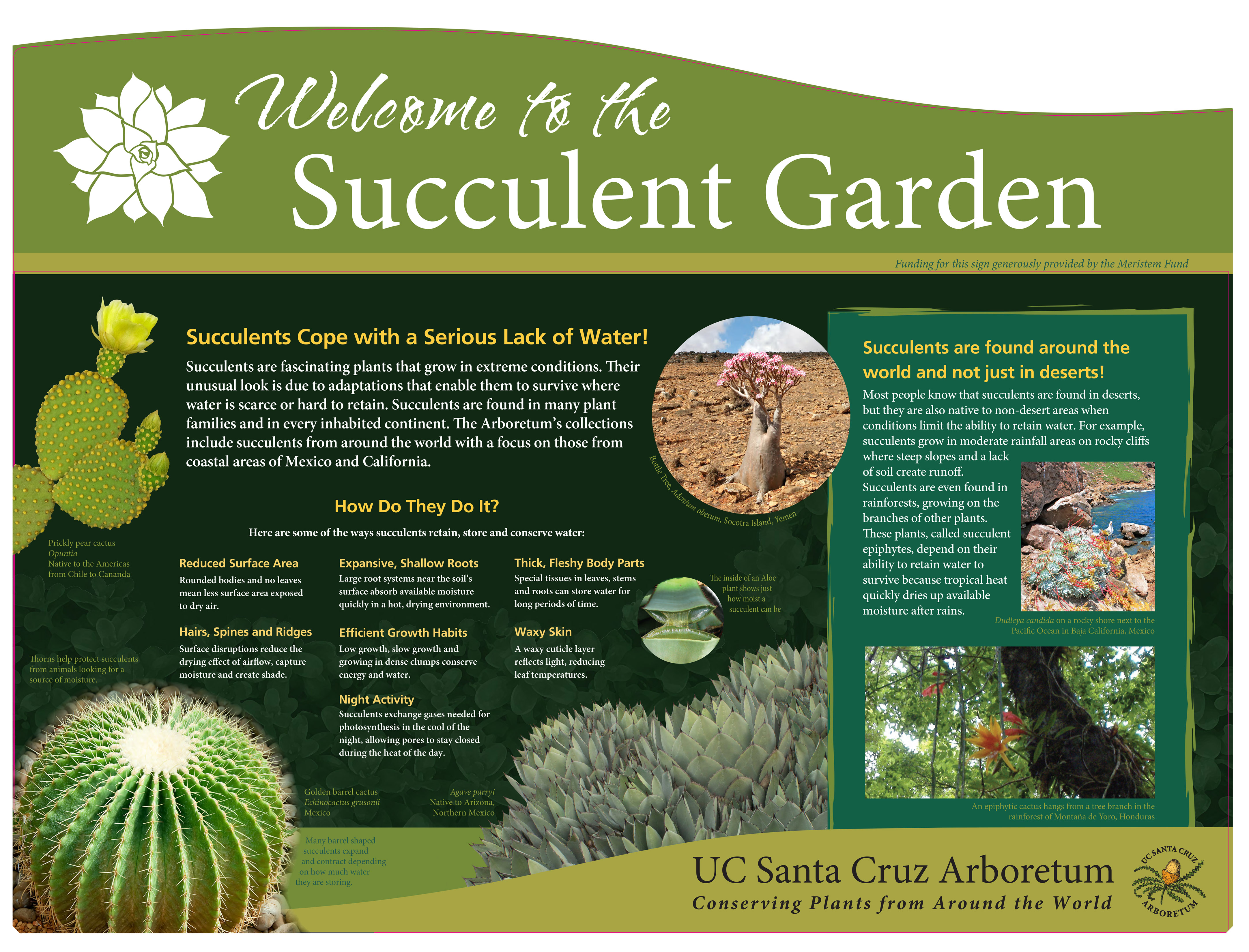 9-ucsc-arboretum_succulent-garden-sign.jpg