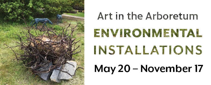 art in the arboretum