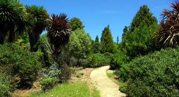 New Zealand Garden