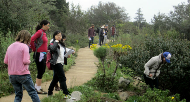 phenology walk