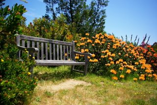 bench in garden