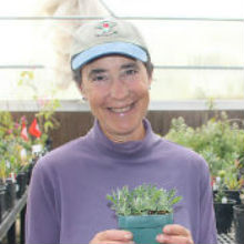 Helen Englesberg