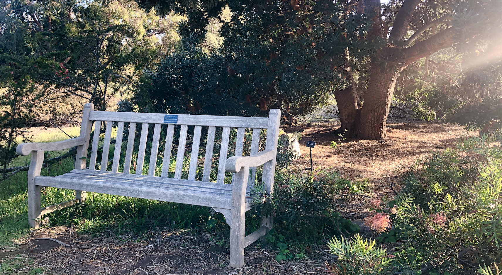 memorial or tribute bench