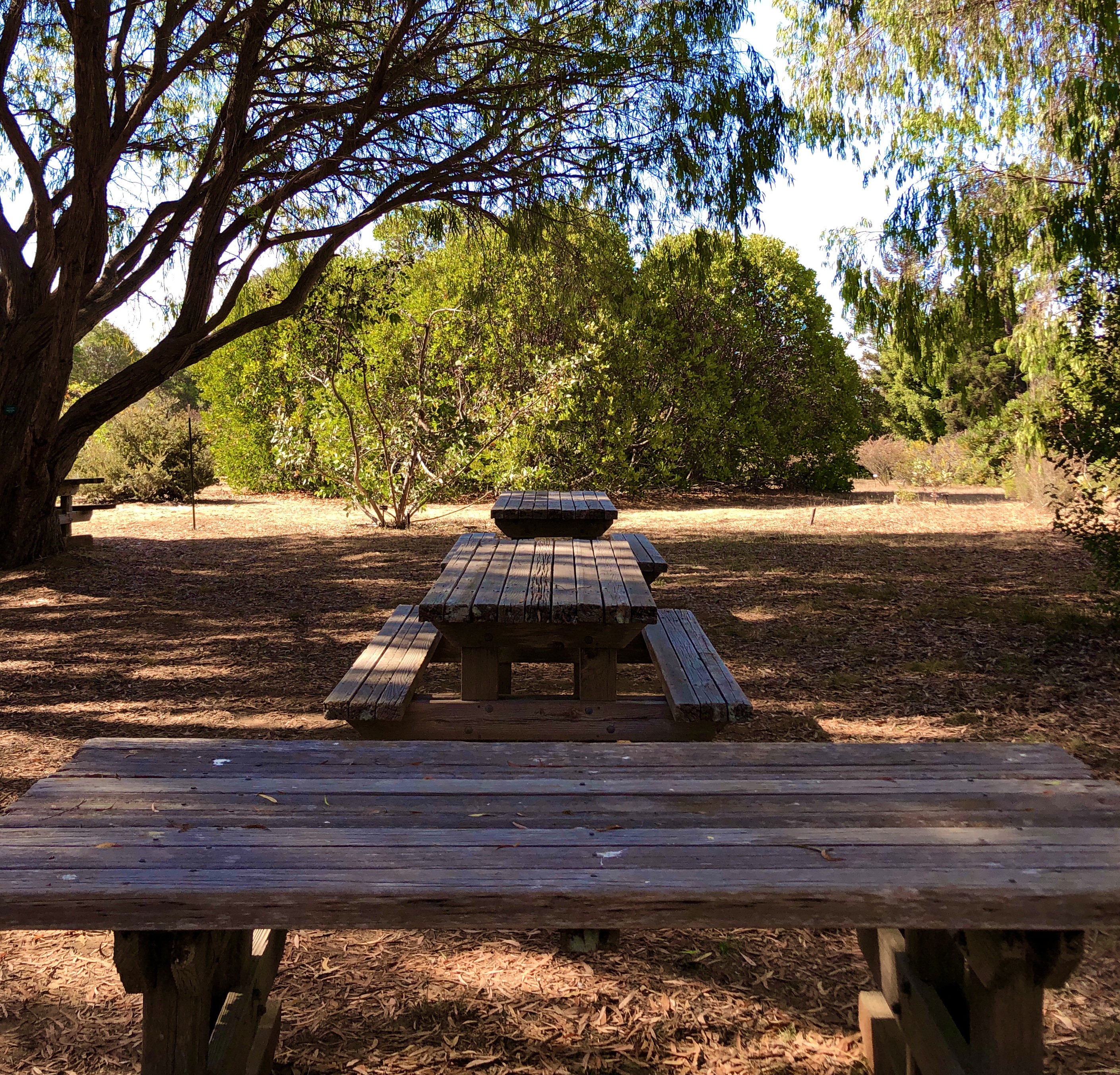 aust-picnic-tables-line-up.jpg
