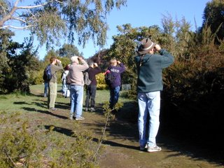 birders at arboretum