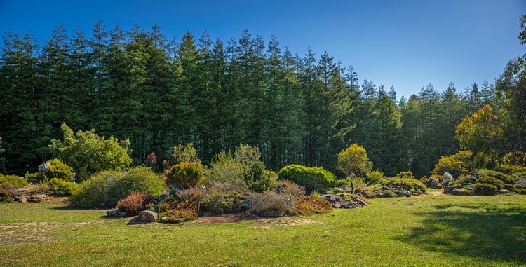 view of the rock garden